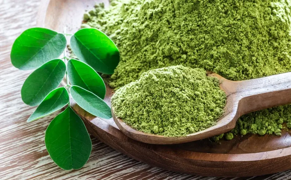 moringa_2.webp