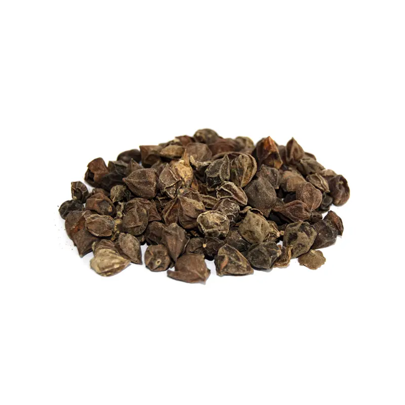 Dried Assyrian Plum (Sapistan Khushk, Lasoora)