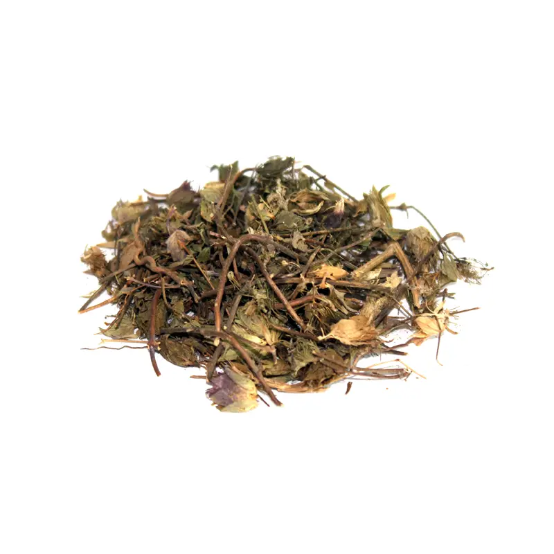 Hyssop (Gul Zoofa)