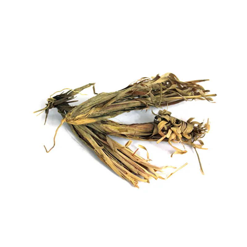 Izkher Roots (Beekh-e-Azkhir)