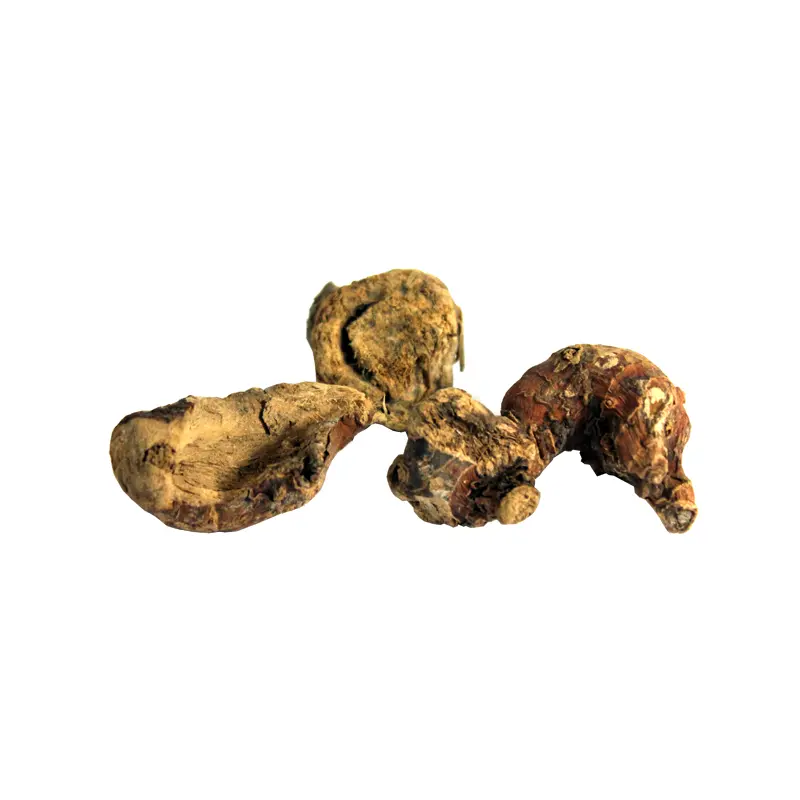 Java Galanga (Khulanjaan)