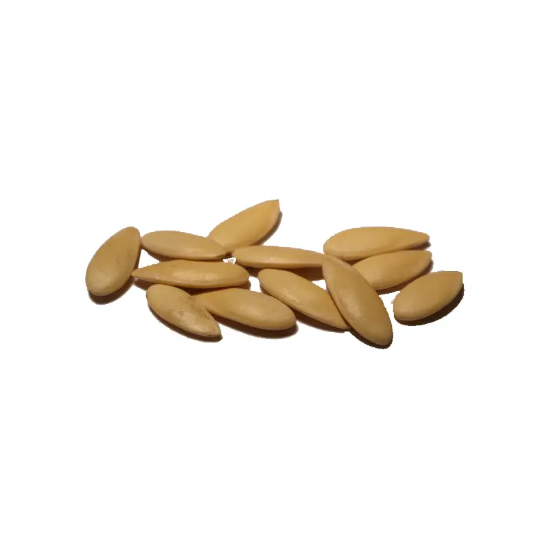 Melon Seeds (Tukhm-e-Kharbooza)