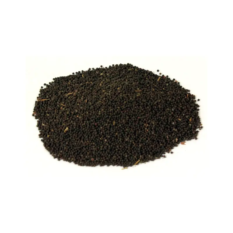 Mexican Poppy Seeds (Tukhm-e-Satenasee)