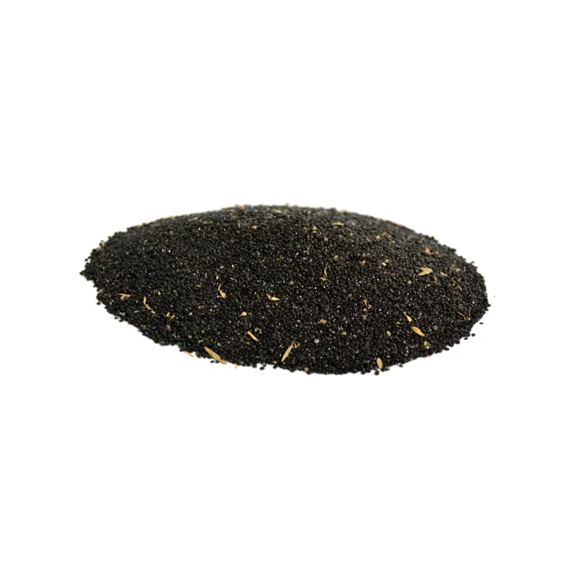 Plumed Cockscomb (Sarwali)