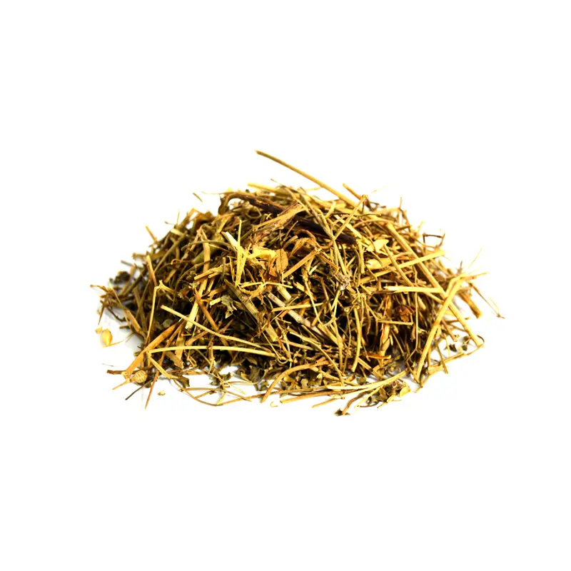  Spleenwort (Chitrak)