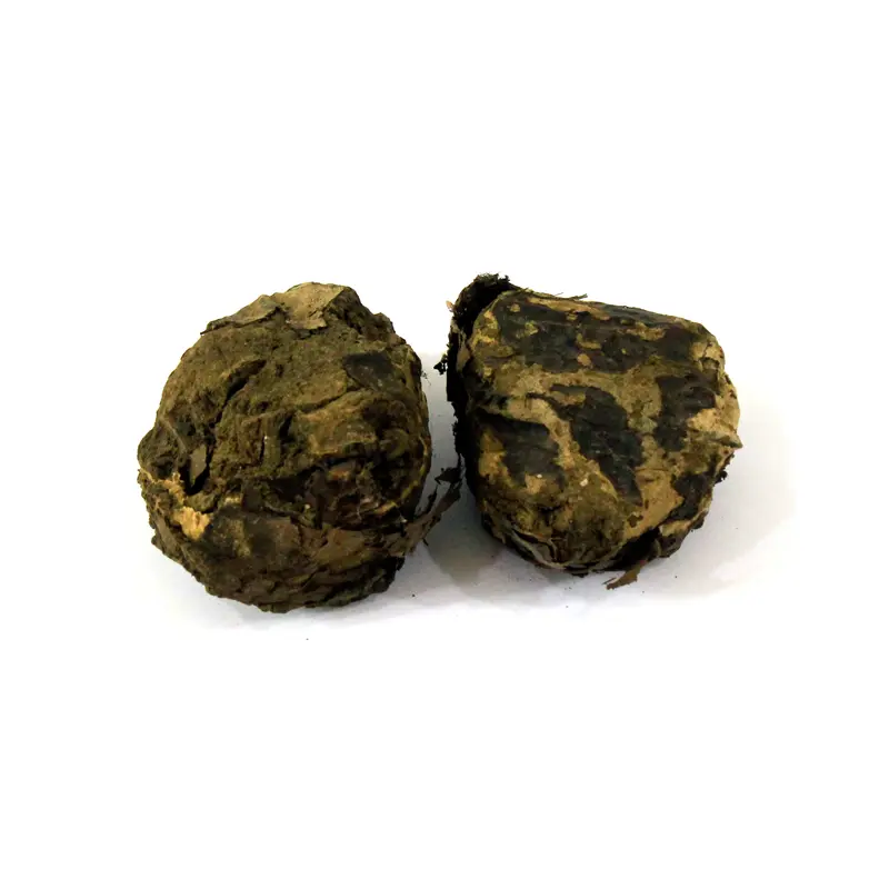 Tree Turmeric (Rasoot)