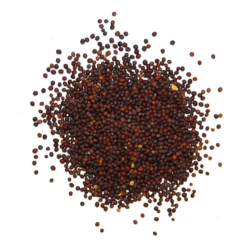 Brown Mustard (Sarson Zard)