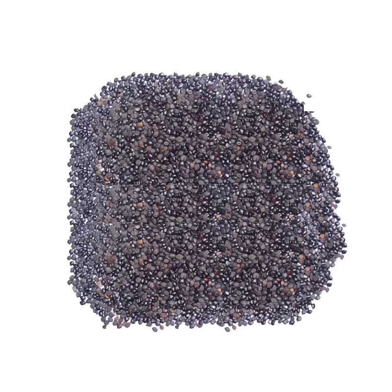 Chaksu Seeds (Chaksu)