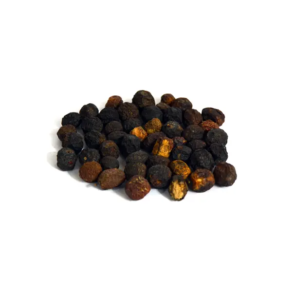 Chinaberry (Bakain)