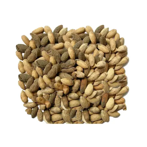 Neem Seeds (Tukhm-e-Neem)