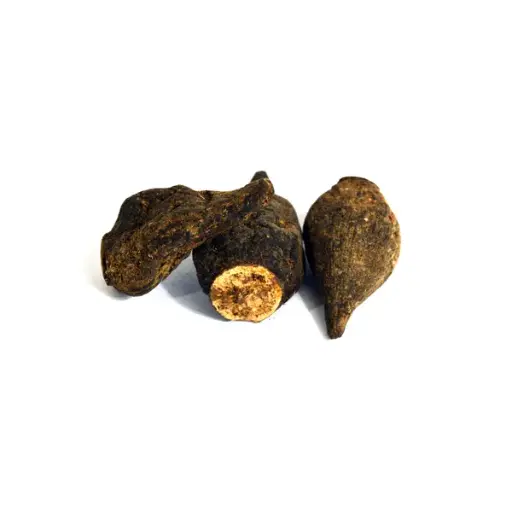 Salep Orchid Root (Salab Gatta)