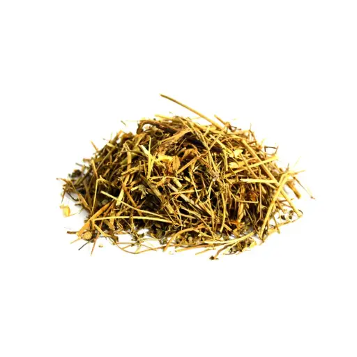  Spleenwort (Chitrak)