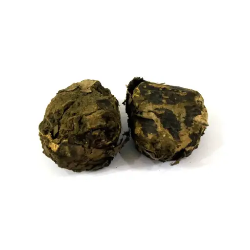 Tree Turmeric (Rasoot)