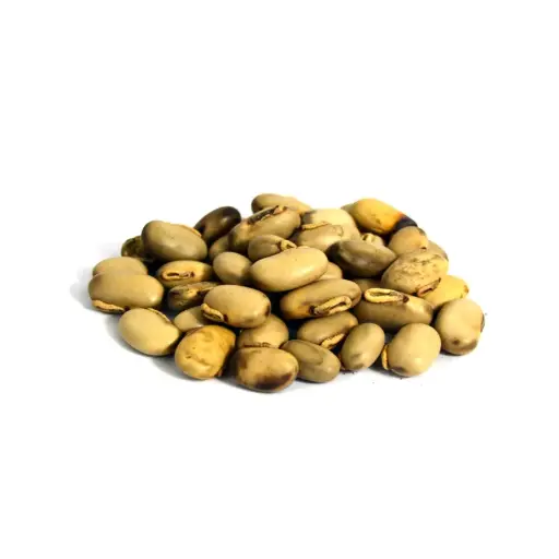 Velvet Bean (Konj Safaid)