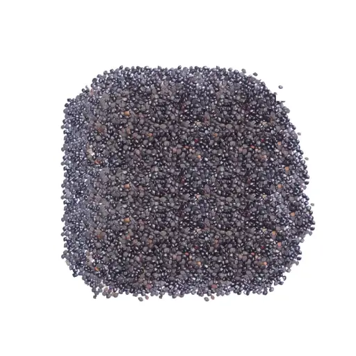 Chaksu Seeds (Chaksu)