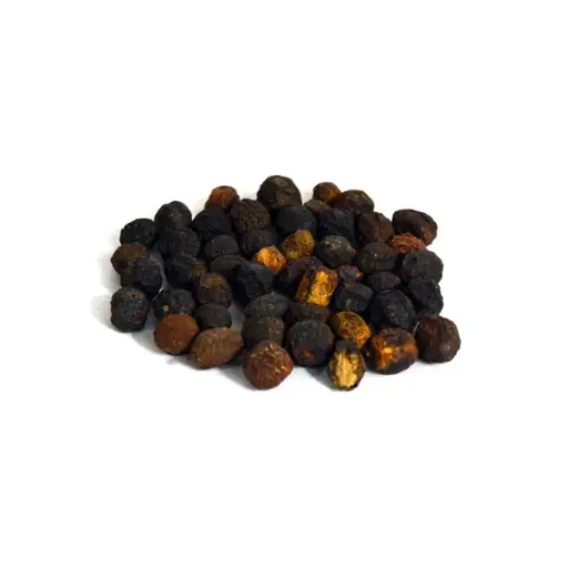 Chinaberry (Bakain)