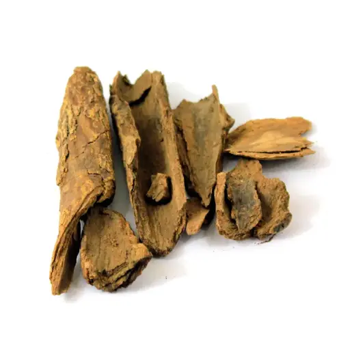 Common Tallow Laurel (Maida Lakdi)