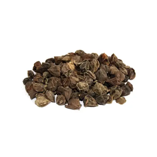 Dried Assyrian Plum (Sapistan Khushk, Lasoora)